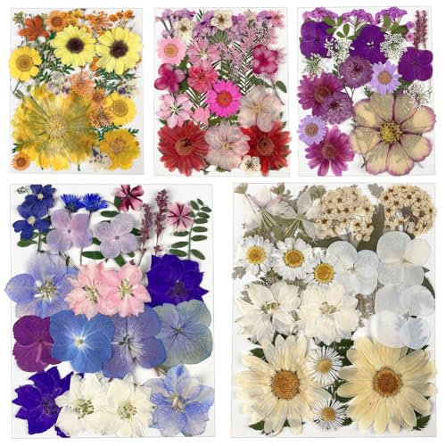 125pcs getrocknete gepresste Blumen für Harzformen, natürliche gepresste Blumen trockene Blätter Masse echte Kräuter-Kit für DIY-Herstellung von Handwerk Harz Seife Kerze Scrapbook-Versorgung (Set A)