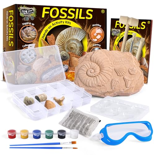 Piano Potato Fossil Dig Kit for Kids - 12 Unique Prehistoric Specimens, STEM Paleontology Excavation Set with Painting & Molding Activities, Educational Science Gift for Boys & Girls Ages 6+ - Image 2