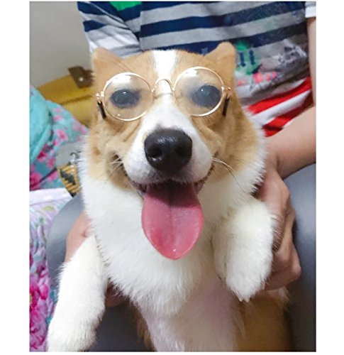 Dog Goggles Small Breed Pet Glasses Fashion Cute Dog Glasses Cat