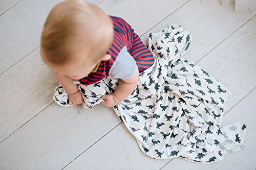 Image of Copper Pearl Swaddle Blankets for Newborns | Soft Stretchy Receiving Blankets for Boys and Girls | Large 46 x 46 Inch Baby Blankets | Lightweight and Breathable Swaddles | Dinos Wild