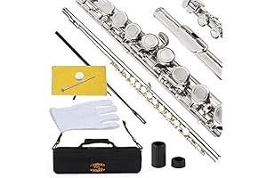 Yamaha Flute 221: A Symphony of Sound for Beginners