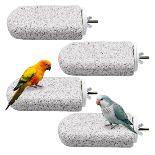 Image of 4PCS Bird Beak Grinding Stone,Parrot Perch Stands,Parakeets Platform Chewing Toys Calcium Pumice Lava Foot Claws Trimmer Climbing Ledge for Cockatiel Budgie Conure Lovebird(L,Grey)
