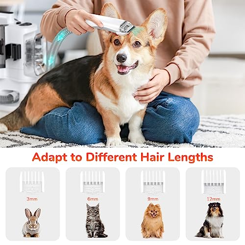 KACNON Hundeschermaschine mit Staubsauger (3.3L,13kPa) - All in one Haustierpflegeset - Leise Schermaschine Hund Katze - Tierhaarstaubsauger Elektrische Haustierbürste