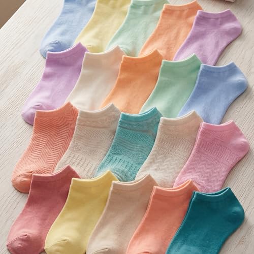 Image of Tipi Toe Women's 20 Pack Colorful Low Cut Socks - Lightweight, Breathable Design for All-Day Comfort Sizes 9-11 /10-13
