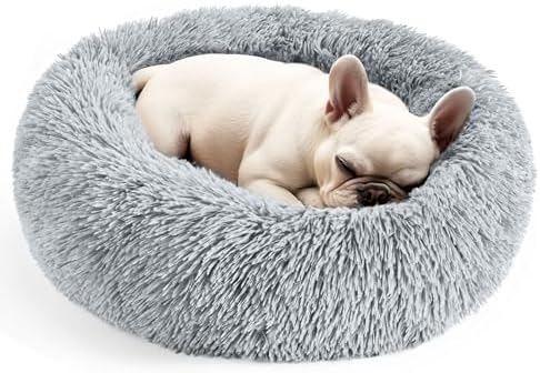 Dog & Cat Bed