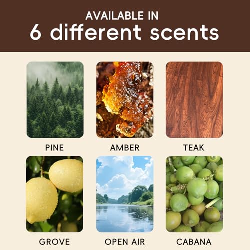 Image of Car Air Freshener Natural Essential Oil Scent, Odor Eliminator and Purifier, Sun Visor Clip Air Freshener for Car(Refill - 3 Pack - Warm Getaway)