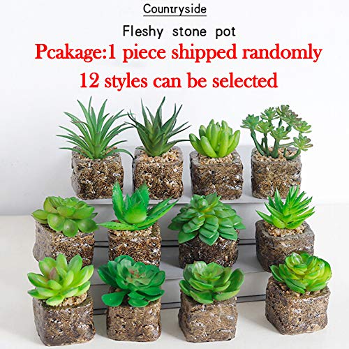 Delleu 12 Estilos Mini Plantas Suculentas Artificiales Plantas Decorativas de Cactus Cactus Plantas Faux Potted (Aleatorio)