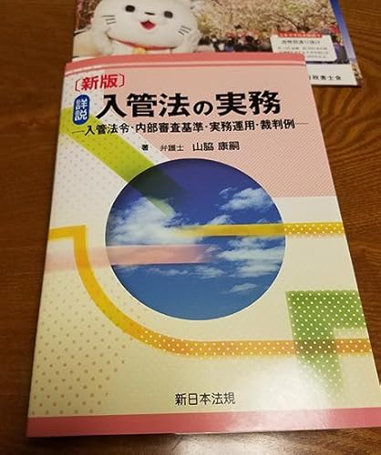 詳説 入管法の実務 新版