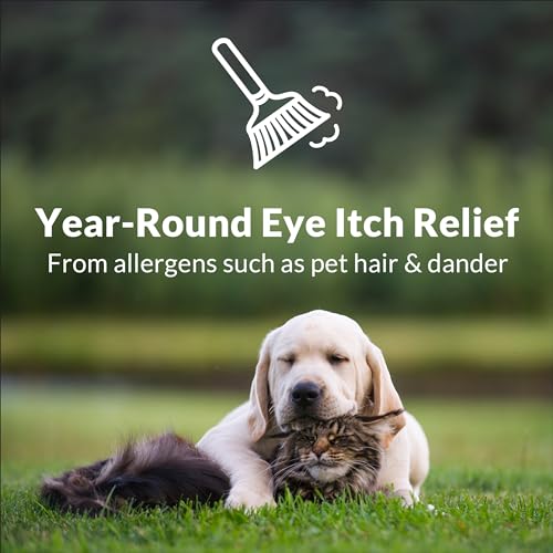 alaway antihistamine eye drops for itchy eyes fast-acting up to 12-hour eye itch relief clinically tested prescription-strength formula 034 fl oz pack of 2