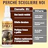 Damaile EU Repellente per Gatti, Disabituante Gatti, 150ml Naturale ed Efficace Spray Repellente per Gatti per Interni & Esterni, Protegge Divani Tappeti Mobili da Graffi, Morsi o Marcature