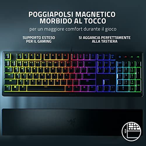 Ornata V3 - Tastiera a basso profilo con mecha-membrana e Chroma RGB (Interruttore Ibrido Mecha-Mecha, Copri Tasti UV, Poggiapolsi Magnetico Soft-Touch) QWERTY Tastiera Italiana | Nero - Tastiera gaming - Immagine 5