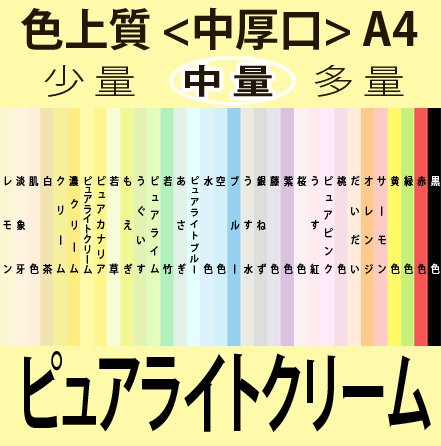 F㎿()A4[sACgN[](500)