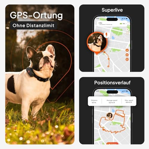 Weenect XS für Hunde - Mini GPS-Tracker für Hunde | GPS-Tracking in Echtzeit | Kleinstes Modell auf dem Markt | Abonnement | Wasserdicht