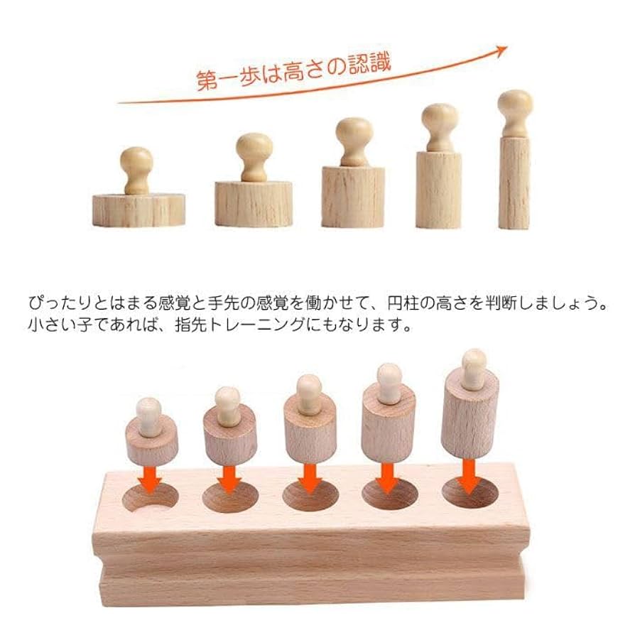 モンテッソーリ教具 円柱さし 大 4本セット-シリンダーブロック- モンテッソーリ教具 円柱さし 大 4本セット-シリンダーブロック