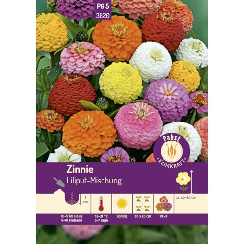 Preisvergleich Produktbild Pabst Keimkraft - Zinnie Liliput-Mischung Samen - 173820
