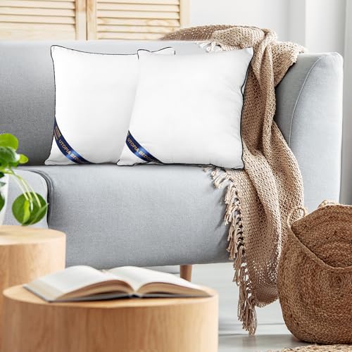 Utopia Bedding Throw Pillow Inserts (Pack of 2, White), 20 x 20 Inches Decorative Indoor Pillows for Sofa, Bed, Couch, Cushion Sham Stuffer
