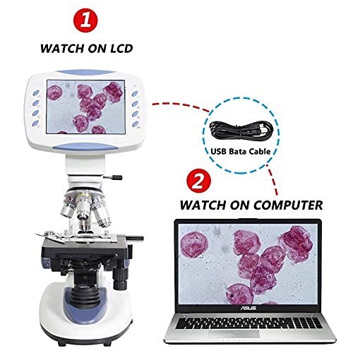 Microscopio da Laboratorio Biologico Digitale HD Professionale con Zoom 200X-5000X da 5 MP Interfaccia per Scheda di Memoria con Fotocamera LCD da 6,5 ​​Pollici