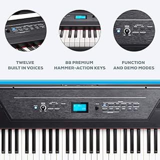 Alesis Recital PRO – Piano Numérique avec Un Clavier de 88 Touches à Mécanique de Marteau & Rockjam Xfinity Doublebraced… - Les Beatles, Paul McCartney, John Lennon, RIngo Starr, George Harrison Alesis Recital PRO - Piano Numérique avec Un Clavier de 88 Touches à Mécanique de Marteau & Rockjam Xfinity Doublebraced… – Image 3