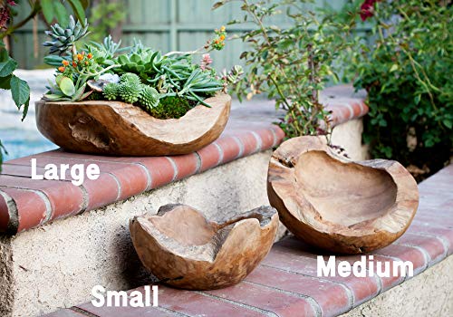 Garden Age Supply Hand Sculpted Natural Reclaimed Teak Wood Bowl Planter (Medium) #TOP5