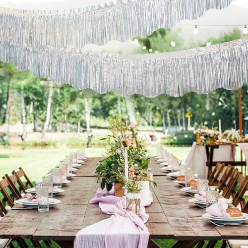 Image of LOLStar Silver Foil Fringe Tinsel Garland, Tinsel Streamers Banner, 6 Pack | 60Ft Tinsel Streamers, Shiny Silver Tinsel Fringe Banner for Wedding, Birthday, Anniversary, Christmas, New Year Party Decor
