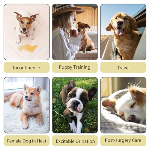 Image of Paw Legend Washable Reusable Female Dog Period Diapers for Heat Doggie Puppy Diapers for Female Dogs (3 Pack, Small)
