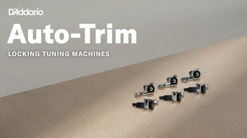 Amazon.com: D'Addario Accessories Auto-Trim Tuning Machines