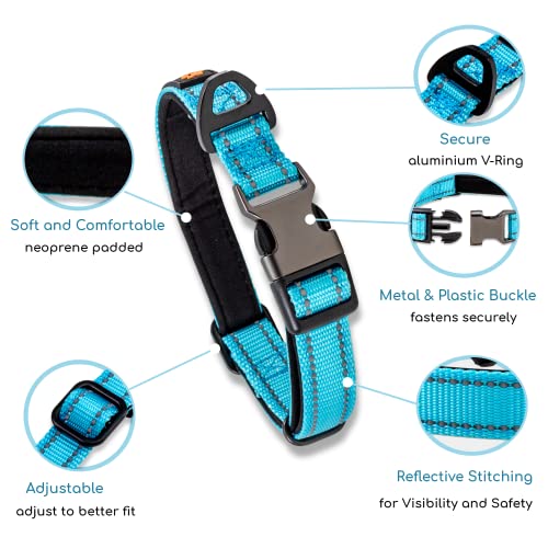 Blue Dog Collar Large Dogs Strong Reflective Adjustable Padded Dogs Collars - Aluminium V-ring Dog Safety - Image 2