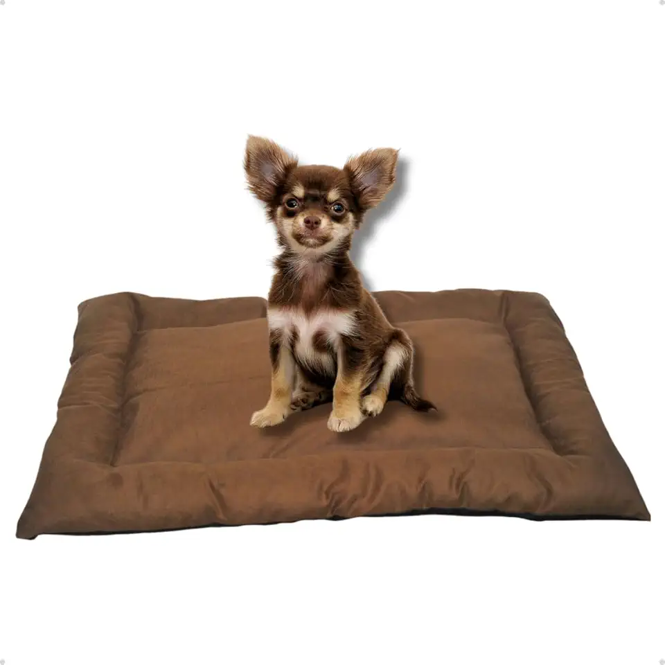 Cama Caminha Colchonete Marrom PP 50x40cm para Cachorro e Gato de Suede Lavável Almofada Pet Macia Confortável