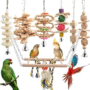 Wellensittich Spielzeug, Papageienspielzeug Vogelspielzeug Papagei Spielzeug nymphensittich Vogel schaukel kanarienvogel Holzspielzeug Holz (7 Stück)