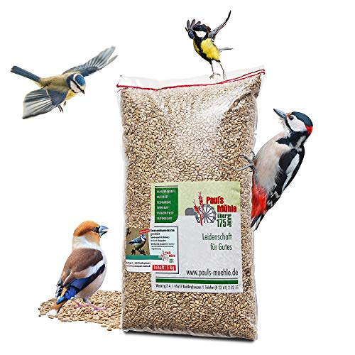 Paul´s Mühle Sonnenblumenkerne geschält für Vögel 5 kg Neue Ernte 2025