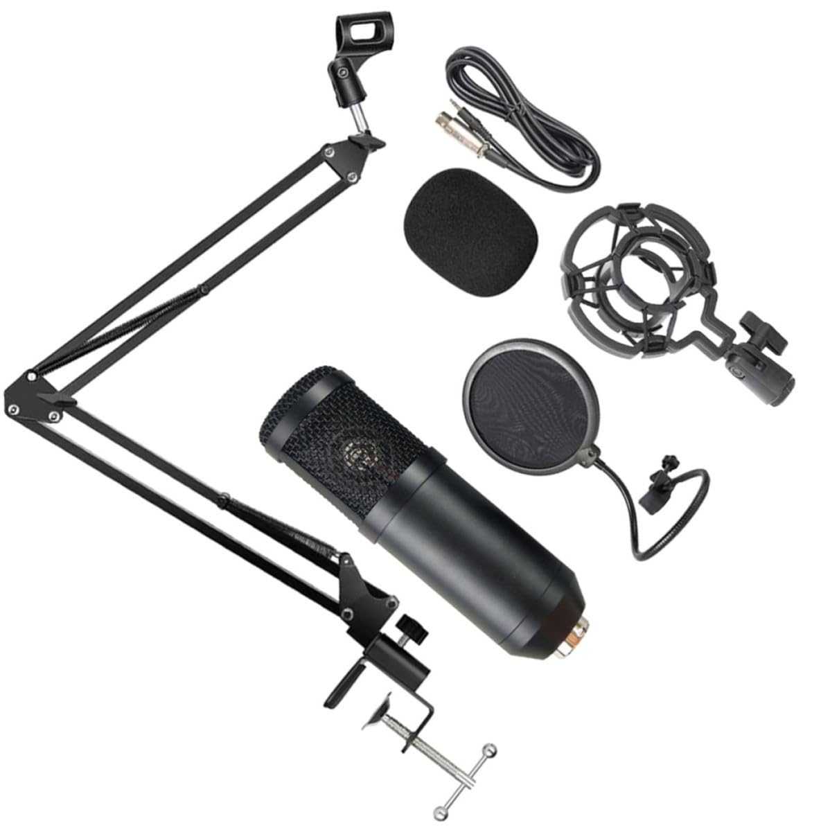 Microfono Condensatore USB Colore Casuale per e Podcast Microfono Professionale in Lega di Alluminio, Audio per Streaming e Gaming
