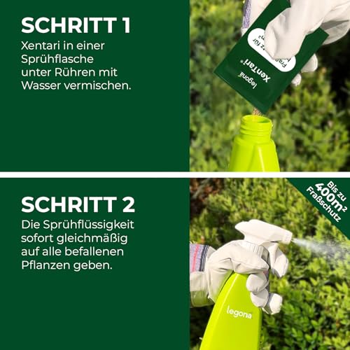Legona XenTari Buchsbaumzünsler Spritzmittel, 10 x 2 g, bis zu 400 m², Bacillus thuringiensis, Zünslerfrei und Raupenfrei