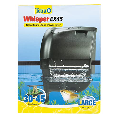 5 Best Aquarium Filter For 40 Gallon Tank in 2022 Kinda Pets