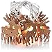Produktbild com-four® LED Lichterkette - Deko-Licht mit LEDs für Weihnachten - Lichterkette mit braunen Rentieren aus Holz - Girlande 170 cm