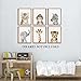 Nursery Baby Room Wall Art Decor, Jungle Nursery Baby Animal of Tiger Lion Elephant Decorations, Nursery Safari Cute Animal Decor for Baby Bedroom (8