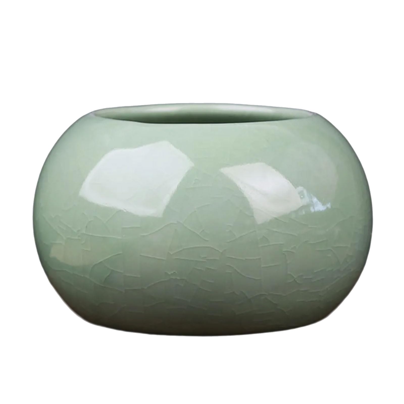 Ceramic Coin Grass Vase Planter Container with Crackled Luminousness for Hydroponic Deck Home Desk Arrangement Elegant Plant Container