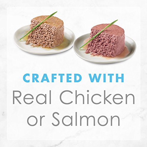 Image of Purina Fancy Feast Grain Free Pate Wet Kitten Food Variety Pack, Kitten Classic Pate Collection Chicken & Salmon - (2 Packs of 12) 3 oz. Cans