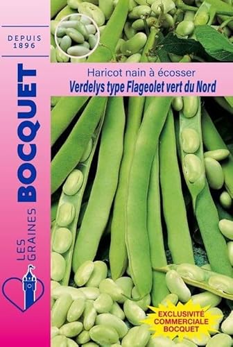 Sachet de graines de Haricot nain à écosser Verdelys 115g (flageolet vert du Nord) - 115 g - Haricot nain à écosser - LES GRAINES BOCQUET