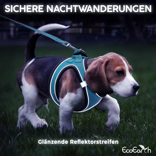 Hundegeschirr + Leine - Mittelgroß, Husky Blau - Weich gepolstert, No Pull Design Haustiergeschirr + Reflektierende Streifen für kleine + mittelgroße Hunde - von EcoEarth