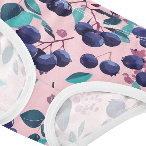 Wusikd Blueberries Girls' Underwear Cotton Girls Briefs Soft Toddler Underwear 2T4