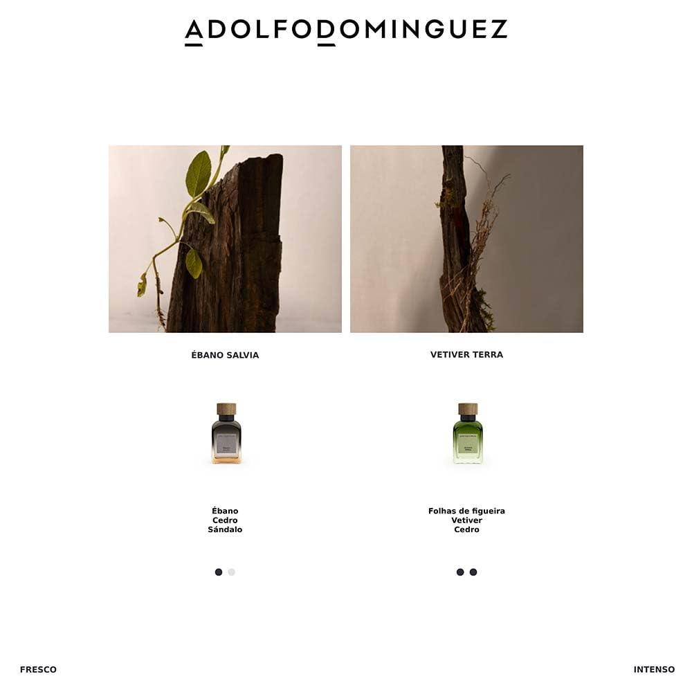 Perfumy Męskie Adolfo Dominguez Ebony Szałwia EDP (120 ml)