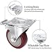 Voluker Set de 4 Ruedas Giratorias con placa de montaje,100mm,Ruedas muebles con...