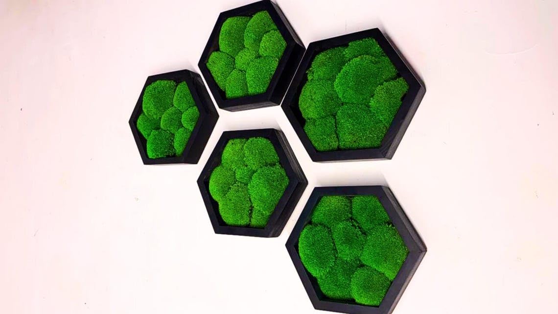 Moss Hexagons