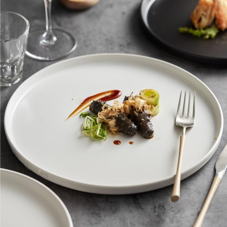 Plato Llano de cerámica Blanca para Restaurante, Plato Llano Occidental, Plato frío, vajilla de Hotel, Bandeja de Cena (Blanco, 27 cm)