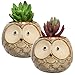 MyGift 4-Inch Brown Owl Ceramic Planter - Decorative Small Succulent Plant Cactus Container Pots, Set of 2