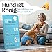 HUND IST KÖNIG Hundewindeln für Hündinnen (3 Stück) - Hochabsorbierende Läufigkeitshose für Hündinnen mit 3-Fach Justierung - Umweltfreundliche Hunde Windeln, Hundehöschen Läufigkeit & Inkontinenz