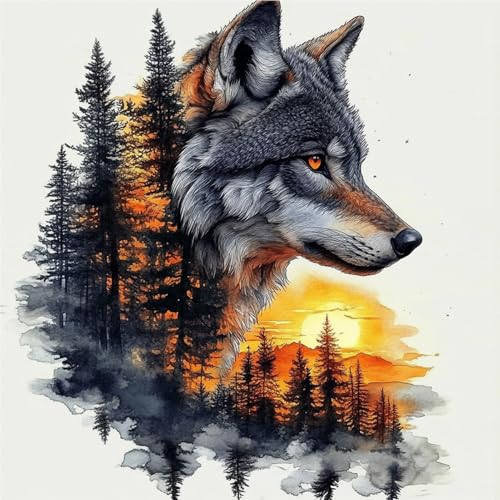 DAERLE Lobo al atardecer Pintar por Numeros Adultos, DIY Painting by Numbers Kits, Animal del bosque, Cuadros para Pintar por Numeros Pinturas Acrilicos, decoración para el hogar 40x40cm Sin Marco ✅