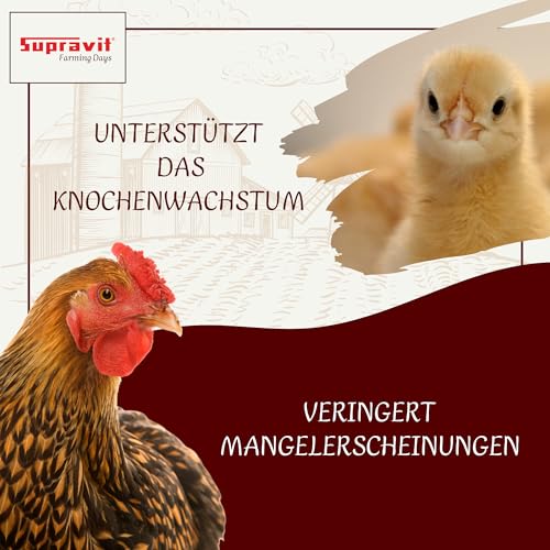 Futterkalk Supravit Geflügelgrit 4 kg – Muschelkalk für Hühner