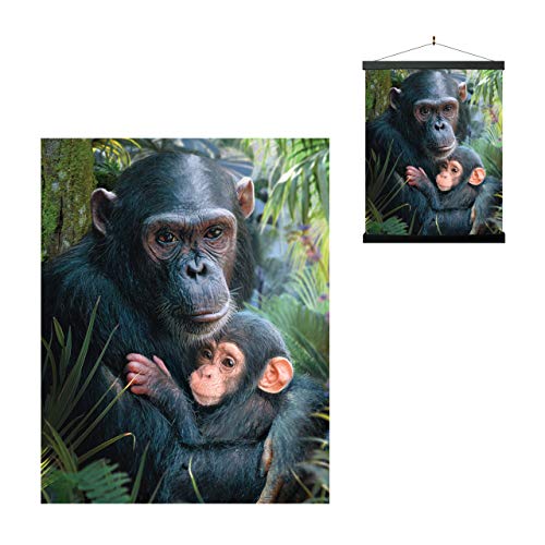 Ya en mundofriki.es: 3D LiveLife Lenticular Cuadros Decoración - Abrazotes de Deluxebase. Poster 3D sin marco de chimpancé. Obra de arte original con licencia del reconocido artista, David Penfound