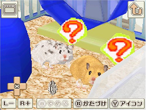 Ds ハムスターと暮らそう の詳細 Gameman ゲームマン Ds ハムスターと暮らそう の詳細 Gameman ゲームマン